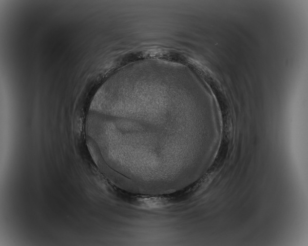 X0000086760417200705041452