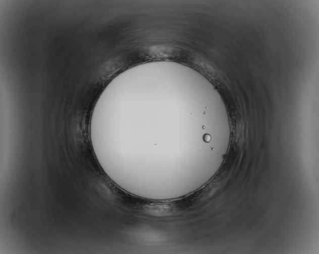 X0000086760418200705041452