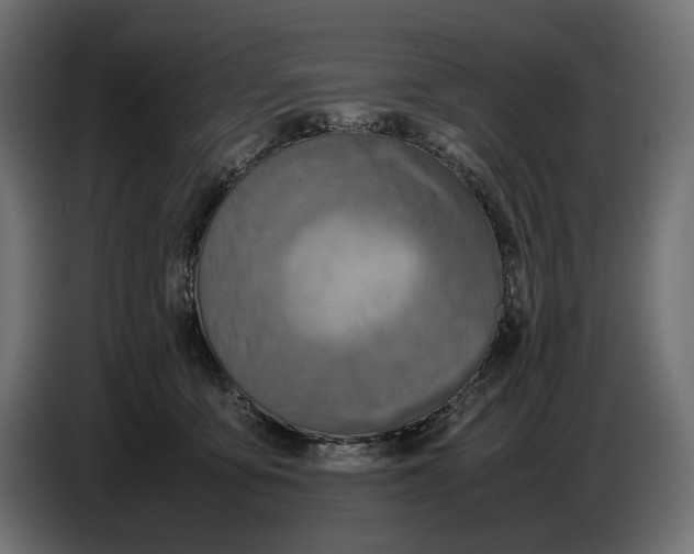 X0000086760419200705041452