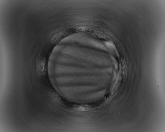 X0000086760420200705041452