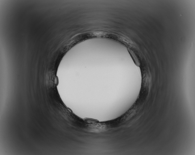 X0000086760421200705041452