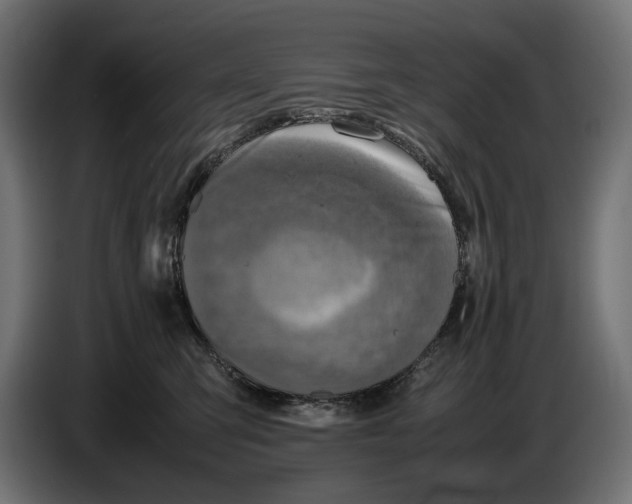 X0000086760423200705041452