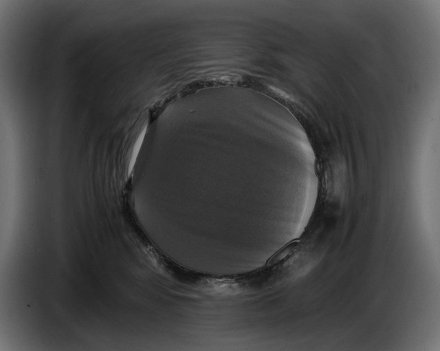 X0000086760424200705041452