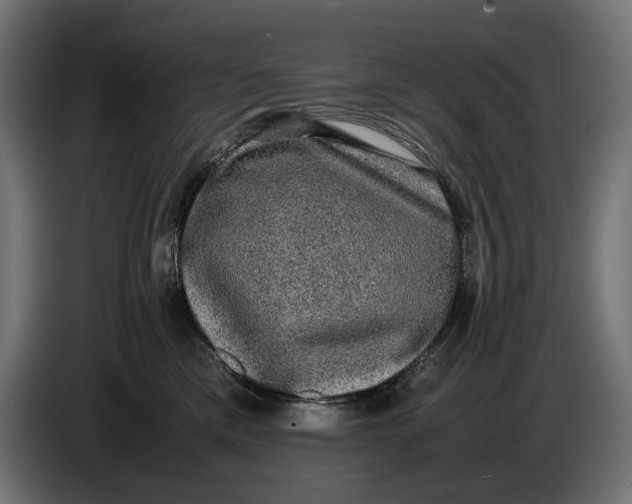 X0000086760425200705041452