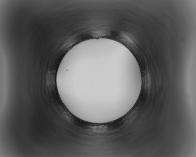 X0000086760426200705041452