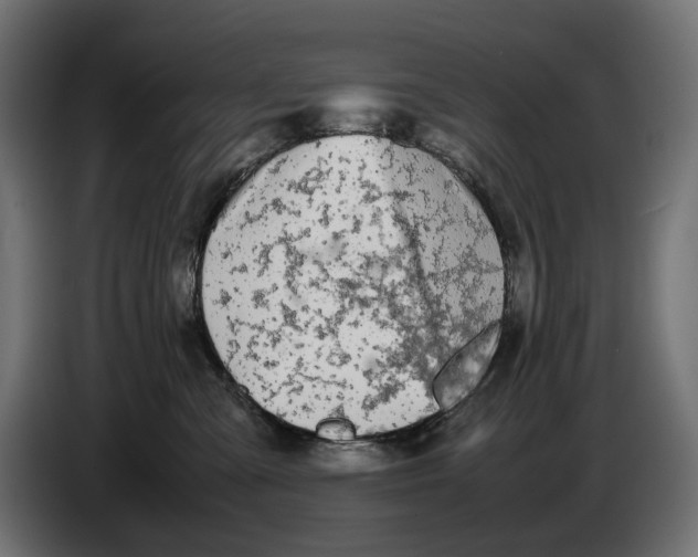 X0000086760427200705041452