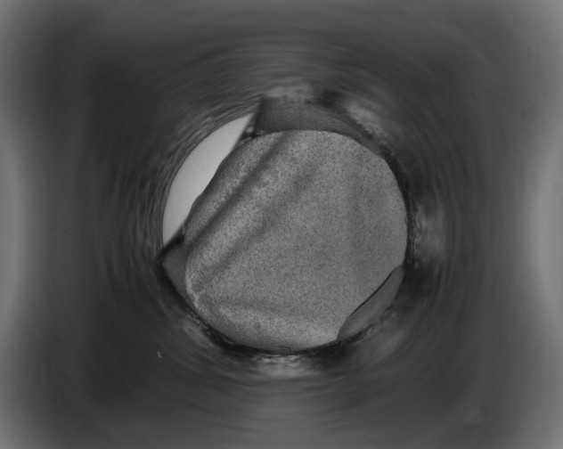 X0000086760428200705041452