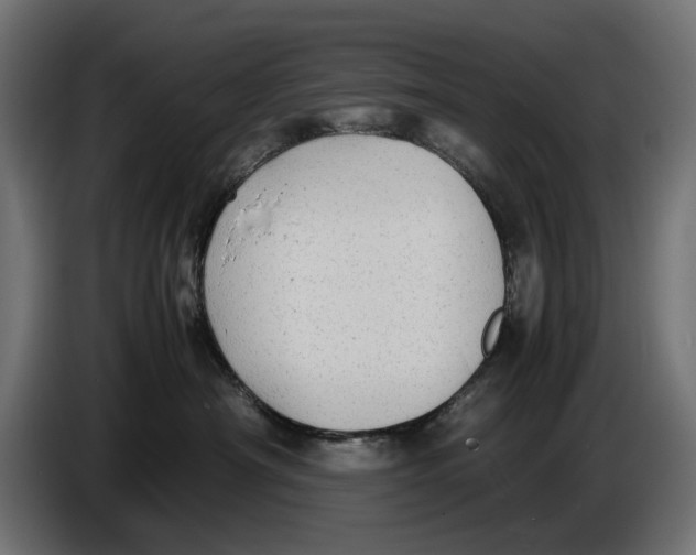 X0000086760430200705041452