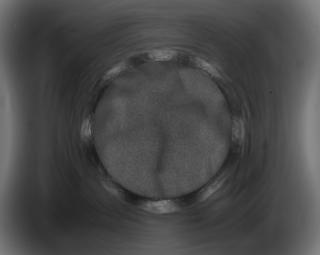 X0000086760431200705041452