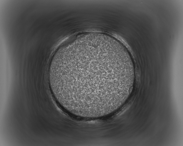 X0000086760433200705041451