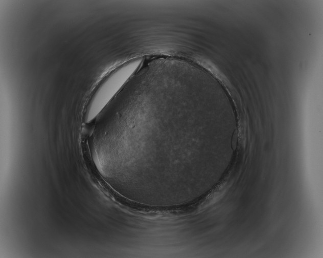 X0000086760434200705041451