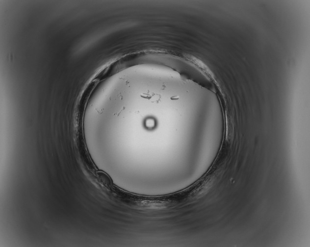 X0000086760435200705041451