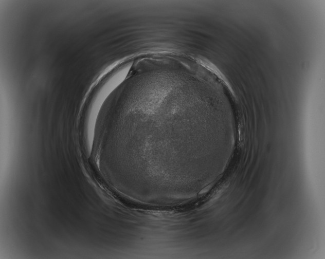 X0000086760436200705041451