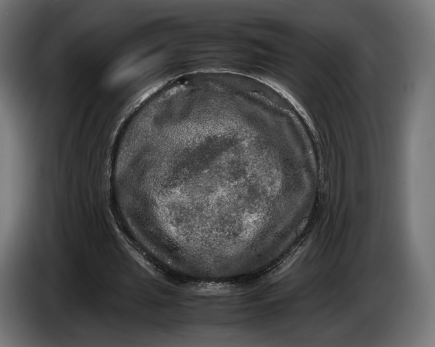 X0000086760437200705041451