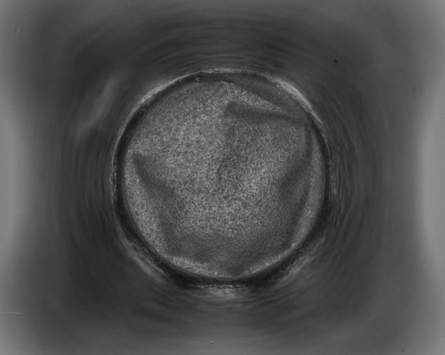 X0000086760439200705041451