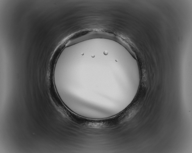 X0000086760440200705041451