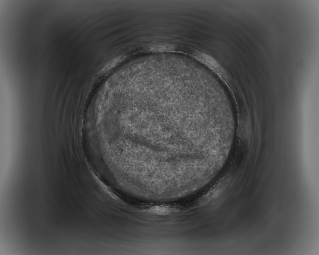 X0000086760441200705041451