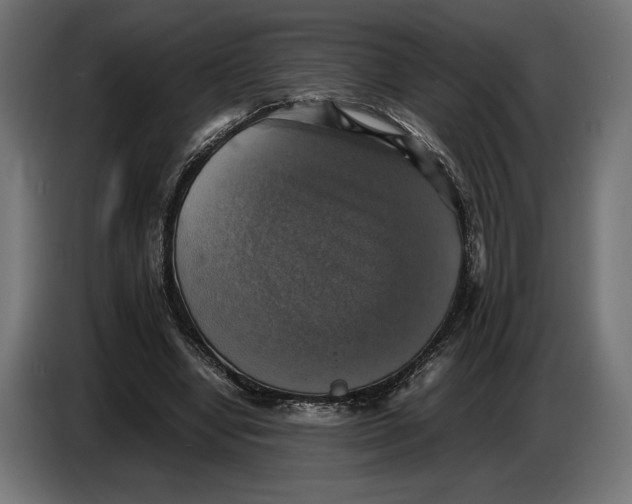 X0000086760442200705041451