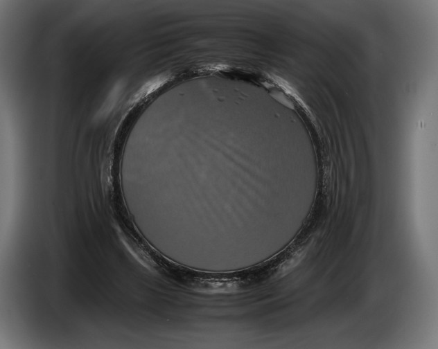 X0000086760443200705041451