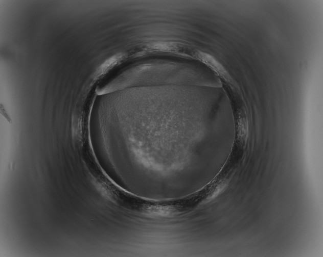 X0000086760444200705041451