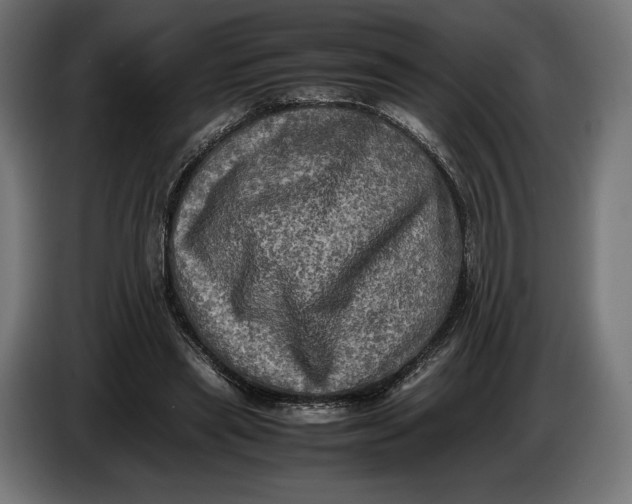 X0000086760445200705041451