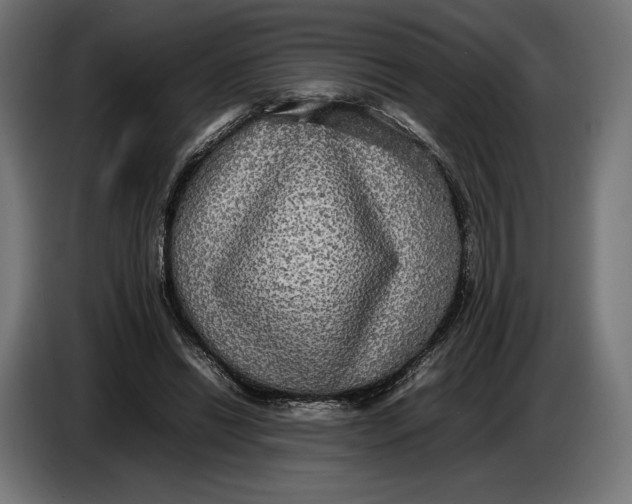 X0000086760446200705041451