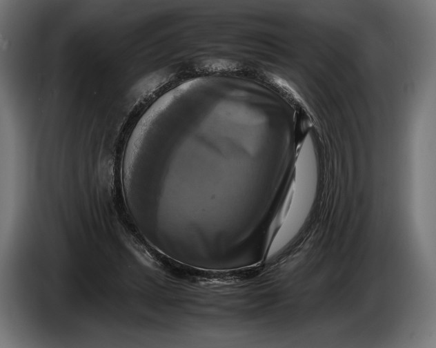 X0000086760447200705041451