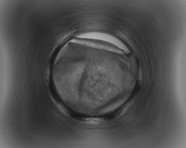 X0000086760448200705041451