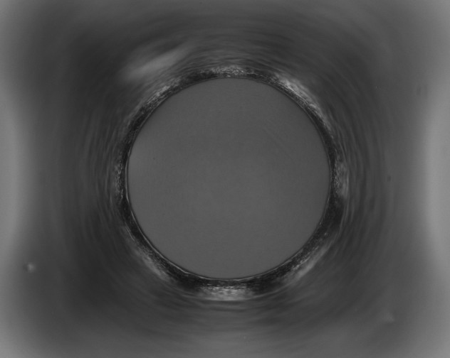 X0000086760449200705041451