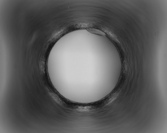 X0000086760450200705041451