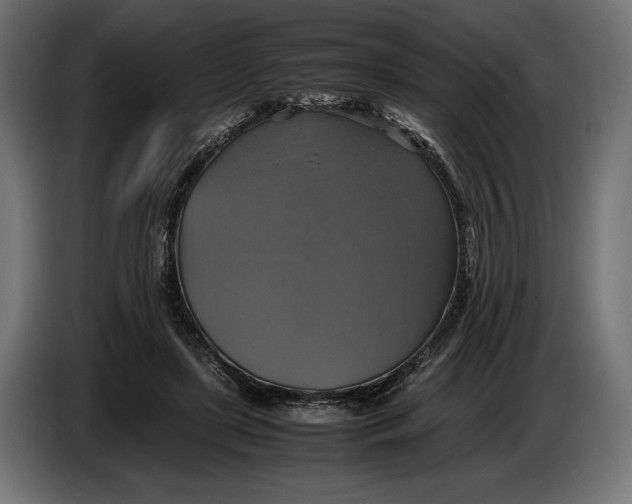 X0000086760451200705041451