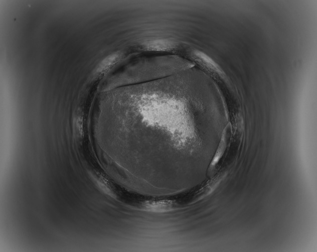 X0000086760452200705041451