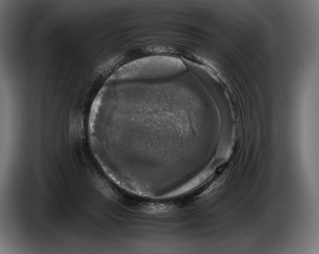 X0000086760453200705041451