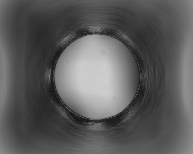 X0000086760454200705041451