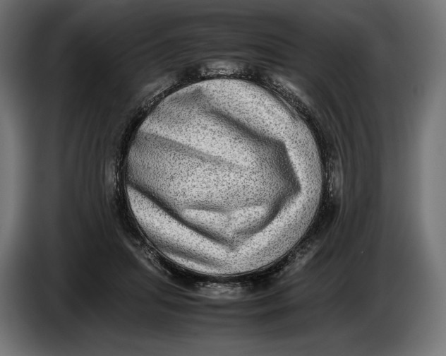 X0000086760455200705041451