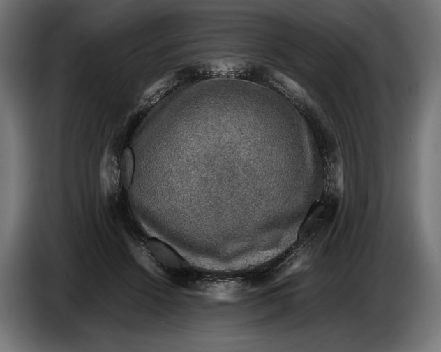 X0000086760456200705041451