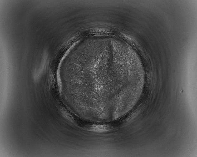 X0000086760457200705041451