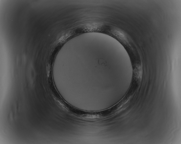 X0000086760458200705041451