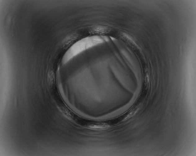 X0000086760459200705041451