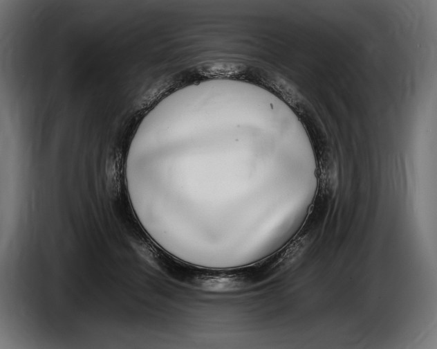 X0000086760460200705041451