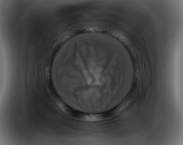 X0000086760461200705041451