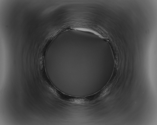 X0000086760462200705041451