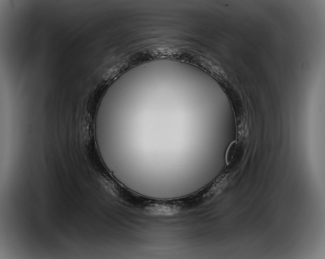 X0000086760464200705041451