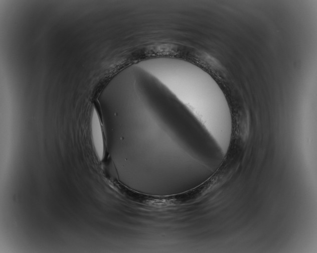 X0000086760465200705041451