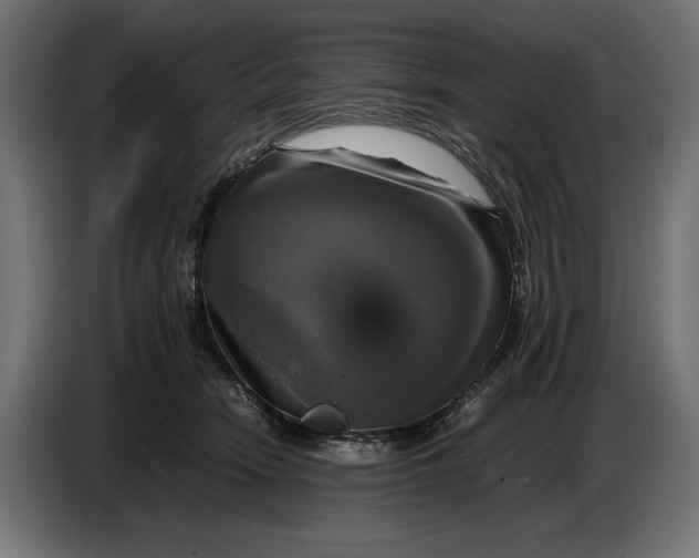 X0000086760466200705041451