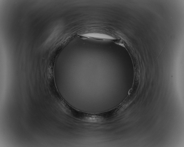 X0000086760467200705041451