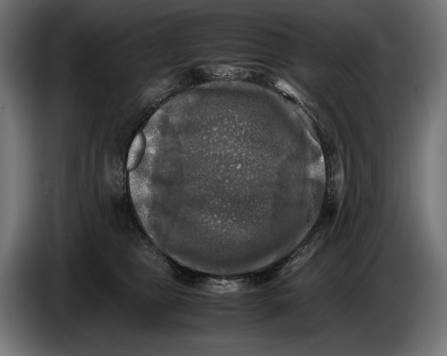 X0000086760469200705041451