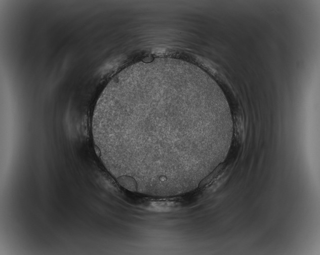 X0000086760470200705041451