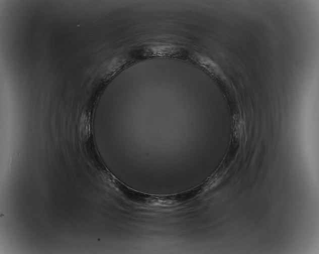 X0000086760471200705041451