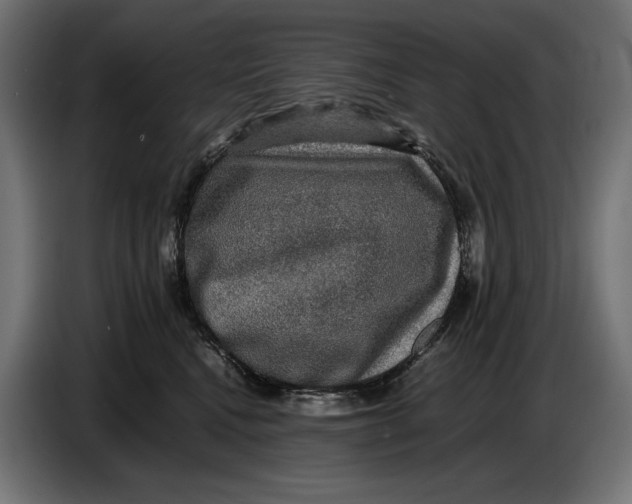 X0000086760472200705041451